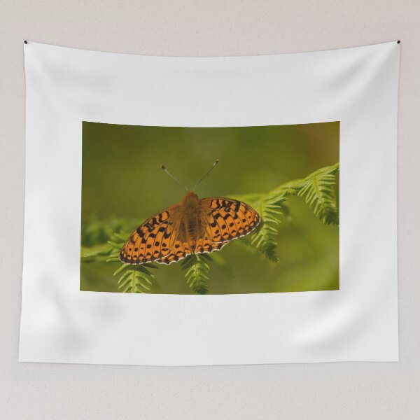 Item preview, Dark green fritillary designed and sold by Jon Lees.