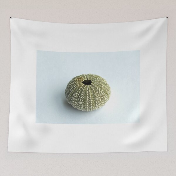 Item preview, Sea Urchin Shell designed and sold by Sue Robinson.