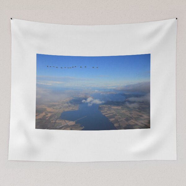 Item preview, Cromarty Firth with Whooper Swans designed and sold by sandysshoots.