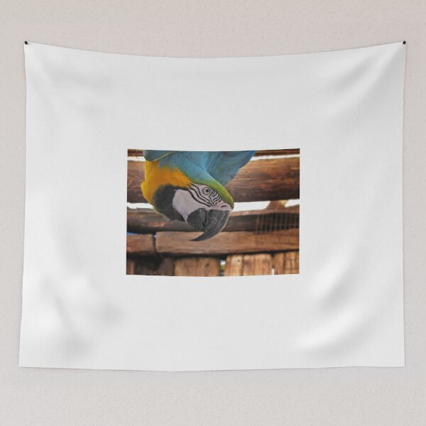 Item preview, Howzit hanging? designed and sold by BiodiversityRocks.
