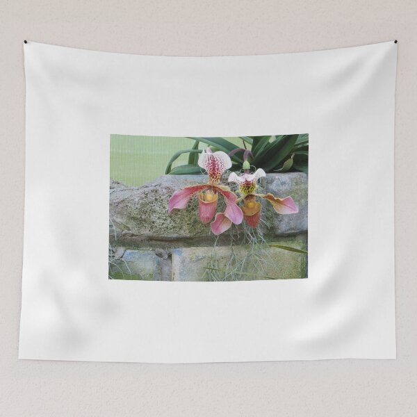 Item preview, Hanging Around designed and sold by Sandra Fortier.