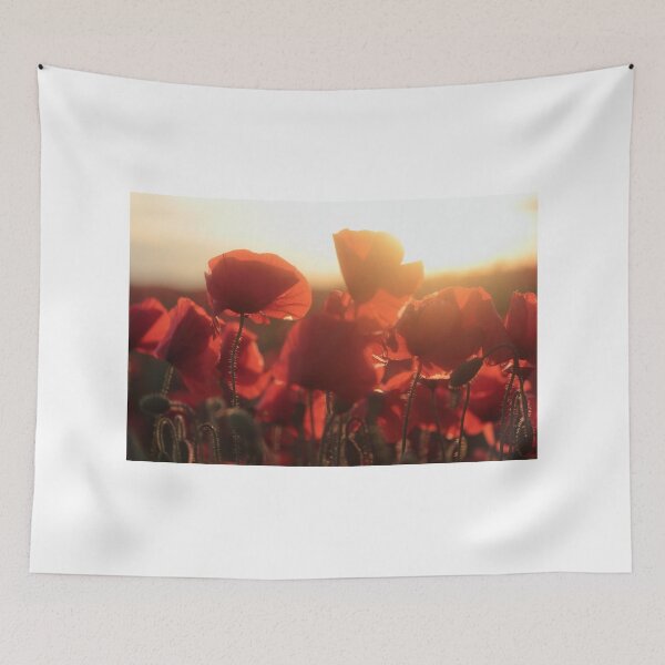 Item preview, Poppies with setting sun designed and sold by Murray Breingan.