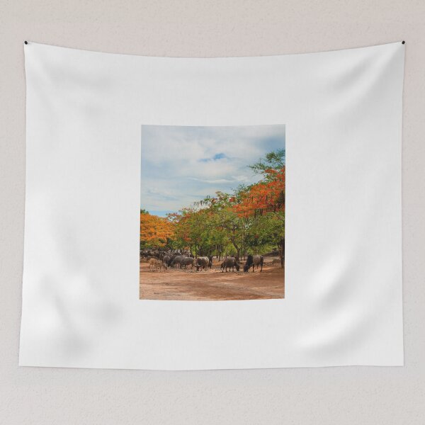 Item preview, Scenery with flame trees designed and sold by Stanciuc.