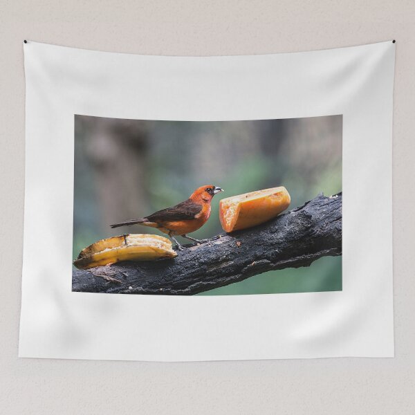 Item preview, Love My Fruit! designed and sold by Marylou Badeaux.