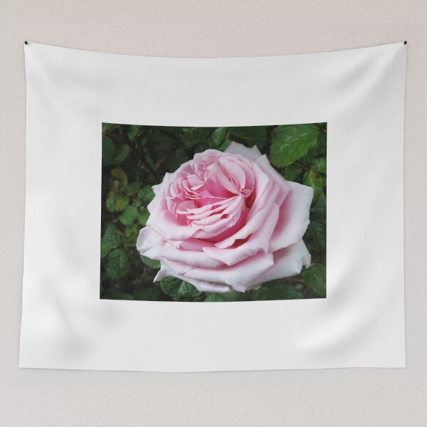 Artikelvorschau, Serene Rose entworfen und verkauft von MidnightMelody.
