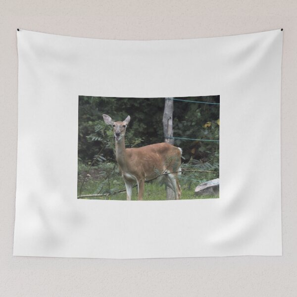 Item preview, Caught in the Act designed and sold by Frankie Cat Photography.