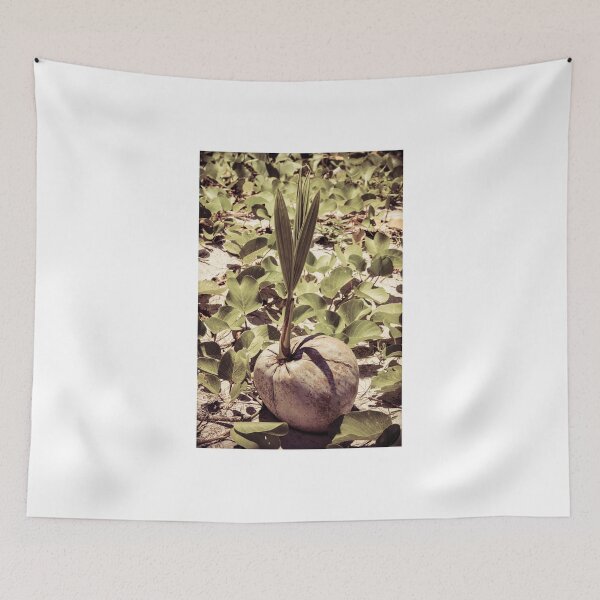 Item preview, Sprout of coconut tree designed and sold by Stanciuc.