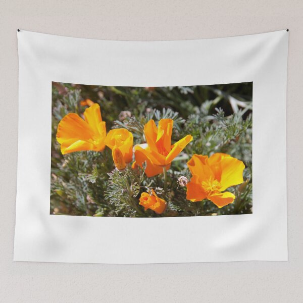 Item preview, Golden Yellow designed and sold by phil decocco.