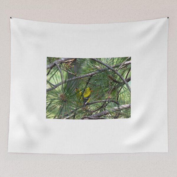 Item preview, Mirror Mirror designed and sold by Frankie Cat Photography.