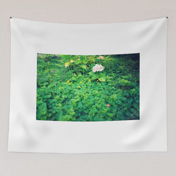Item preview, Hortensia inside shrubs designed and sold by novopics.