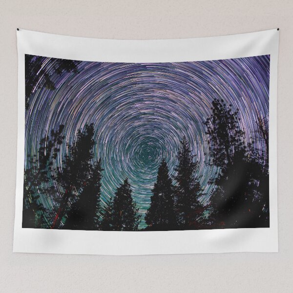 Item preview, Polaris Star Trails Over Forest in King's Canyon  designed and sold by Gavin Heffernan.