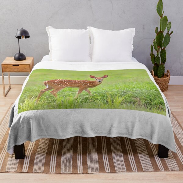 Item preview, Fawn - White-tailed deer designed and sold by James Cumming.