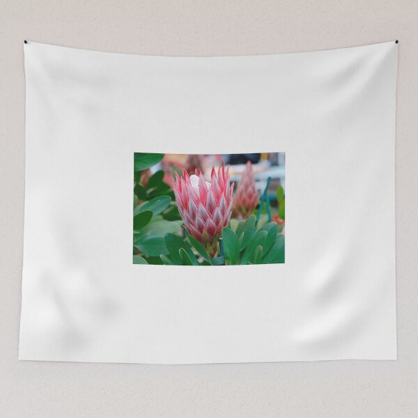 Item preview, Protea Cynaroides Flower designed and sold by jojobob.