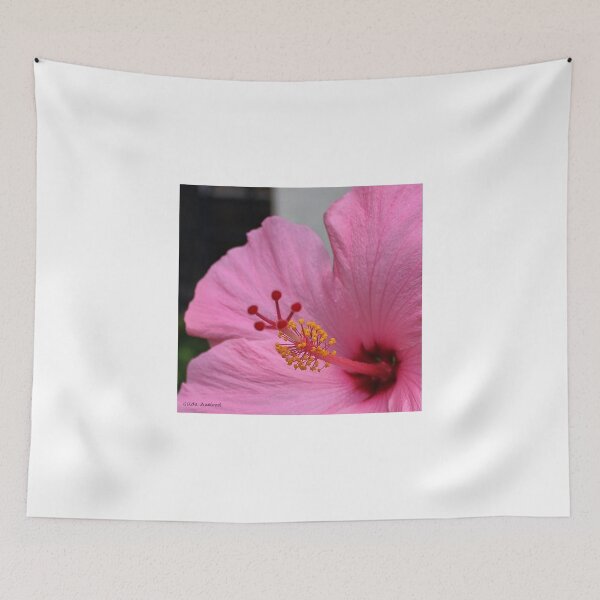Item preview, Pink Hibiscus designed and sold by Gilda Axelrod.