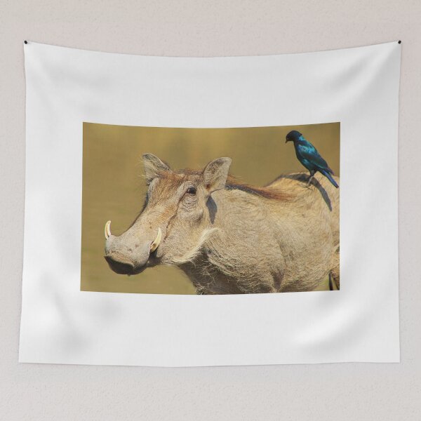 Item preview, Hitching a Ride - Warthog and Starling - Wild Africa designed and sold by LivingWild.