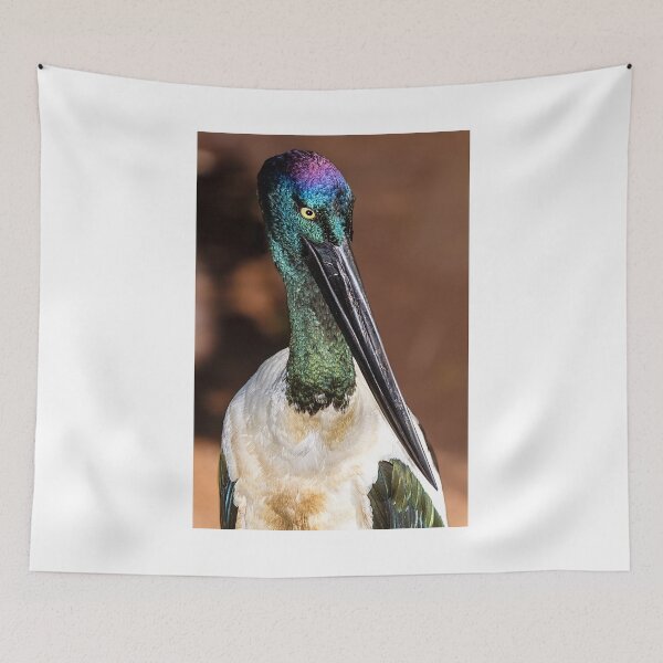 Item preview, Jabiru portrait, Port Douglas, Queensland, Australia designed and sold by MrBennettKent.