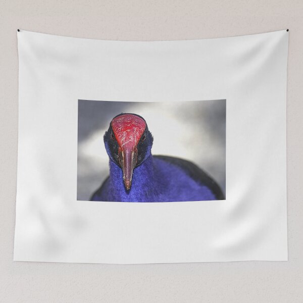 Item preview, Purple Swamphen portrait, Port Douglas, Queensland, Australia designed and sold by MrBennettKent.