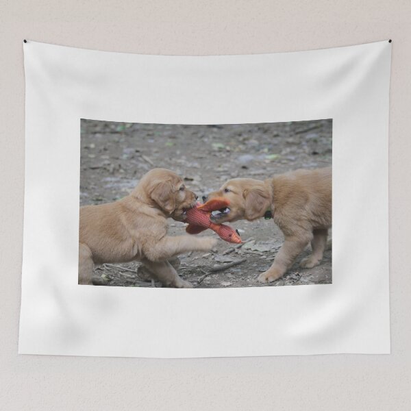Item preview, Jenny & Gimli Tug O War designed and sold by goldnzrule.