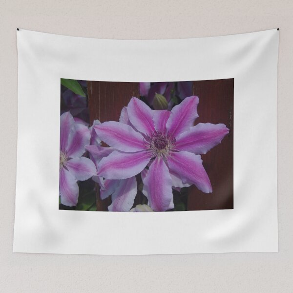 Item preview, Nelly Moser Through the Fence designed and sold by lezvee.