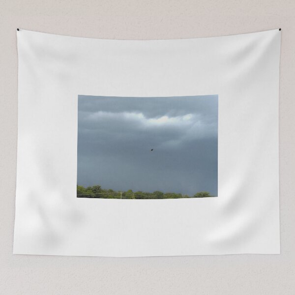 Item preview, Red Wing in a Storm designed and sold by Frankie Cat Photography.