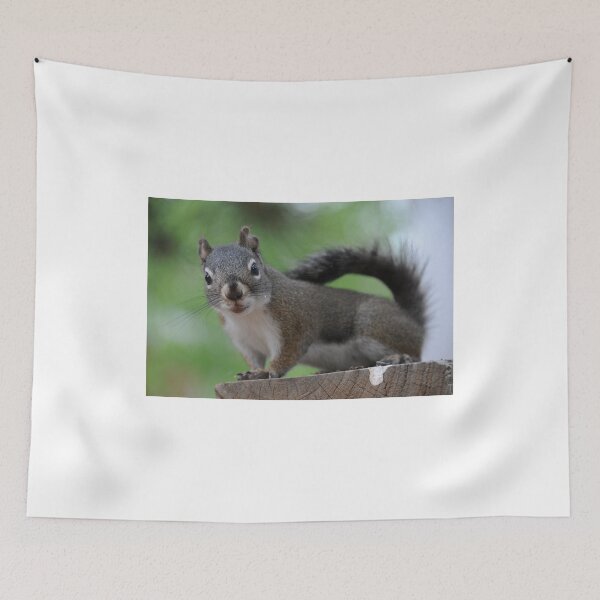 Item preview, Got Nuts designed and sold by Bree Waltman.