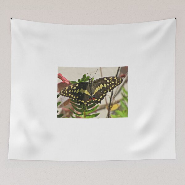 Aperçu de l'œuvre Citrus Swallowtail créée et vendue par BiodiversityRocks.