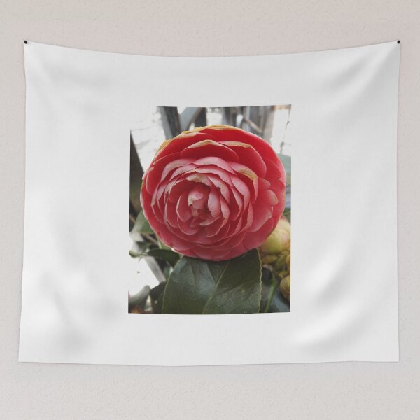 Item preview, Flower Close-Up, New York City designed and sold by lenspiro.