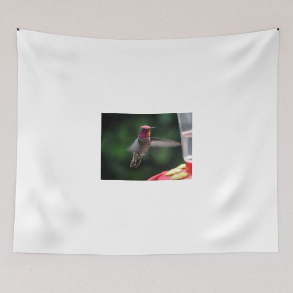 Item preview, MALE ANNA'S HUMMINGBIRD IN FLIGHT designed and sold by JAYMILO.