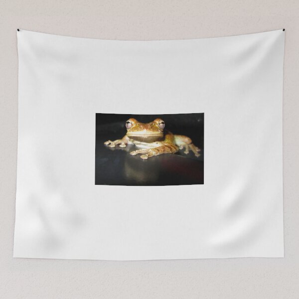 Item preview, Tree Frog After Florida Rainstorm designed and sold by Johnnyagogo.