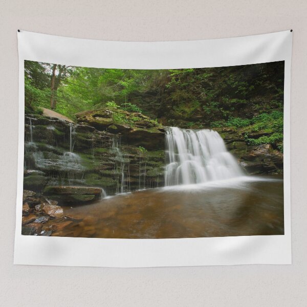 Item preview, Summer Green Surrounds Cayuga Falls designed and sold by Gene Walls.