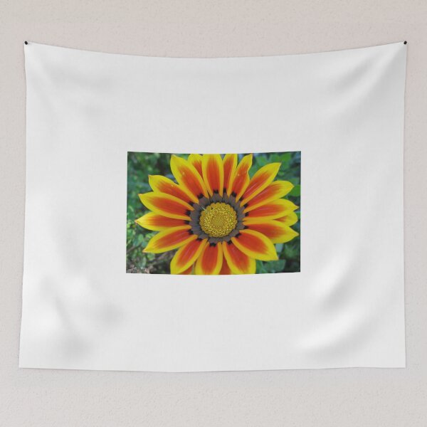 Item preview, Gazania 2 Photography designed and sold by Heatherian.