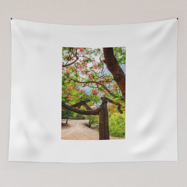 Item preview, Royal Poinciana or flame tree blossom in Thailand designed and sold by Stanciuc.