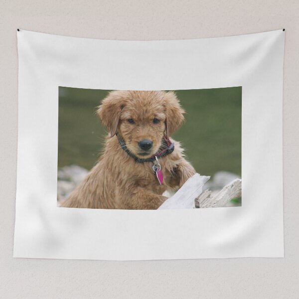 Item preview, Ramses HUH? designed and sold by goldnzrule.