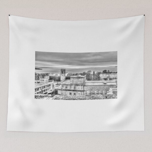 Item preview, Lake Mendota from Van Vleck designed and sold by Victor Kilman.
