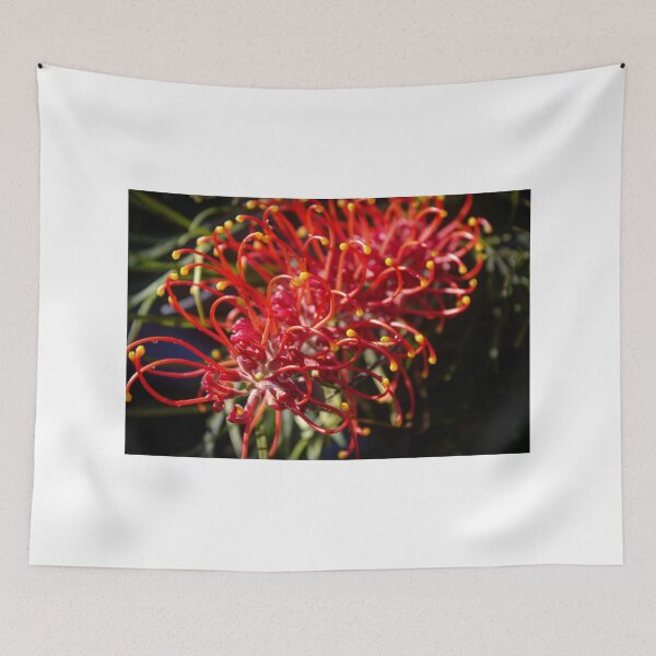 Aperçu de l'œuvre Australian flora in bloom créée et vendue par shaynetwright.