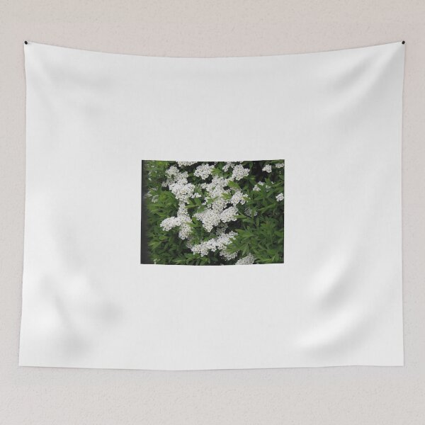 Item preview, Pretty White Spirea Blossoms designed and sold by Kathryn Jones.