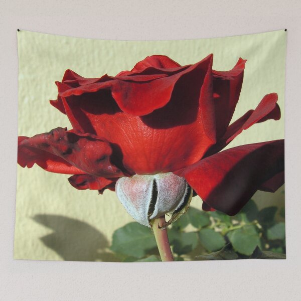 Item preview, Rose with Pulled back Sepal designed and sold by GolemAura.