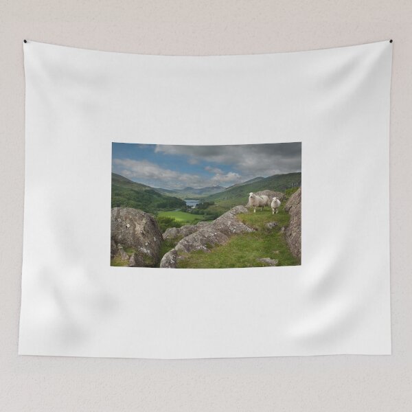Item preview,  Y Pincin Snowdonia designed and sold by eddiej.
