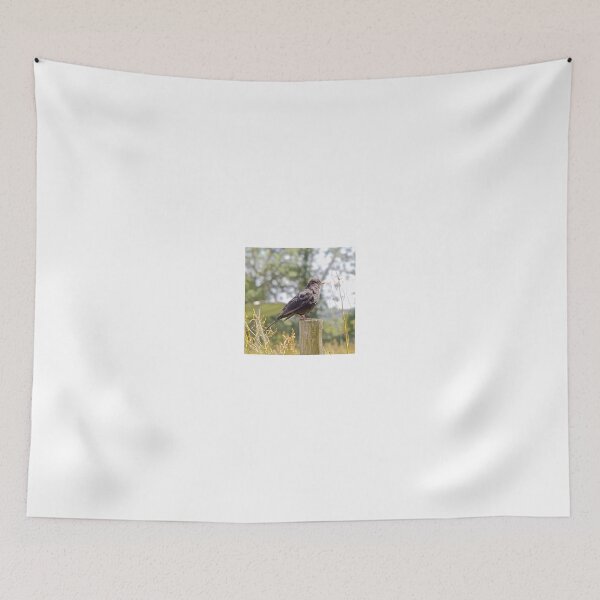 Item preview, Blackbird designed and sold by John Thurgood.