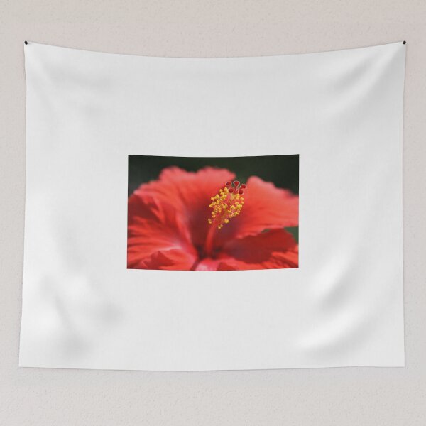 Item preview, RED HIBISCUS designed and sold by Lee d'Entremont.