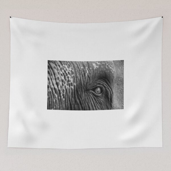 Item preview, Close-up shot of Asian elephant eye designed and sold by Stanciuc.