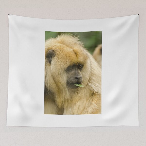 Item preview, Howler Monkey designed and sold by Darren Wilkes.