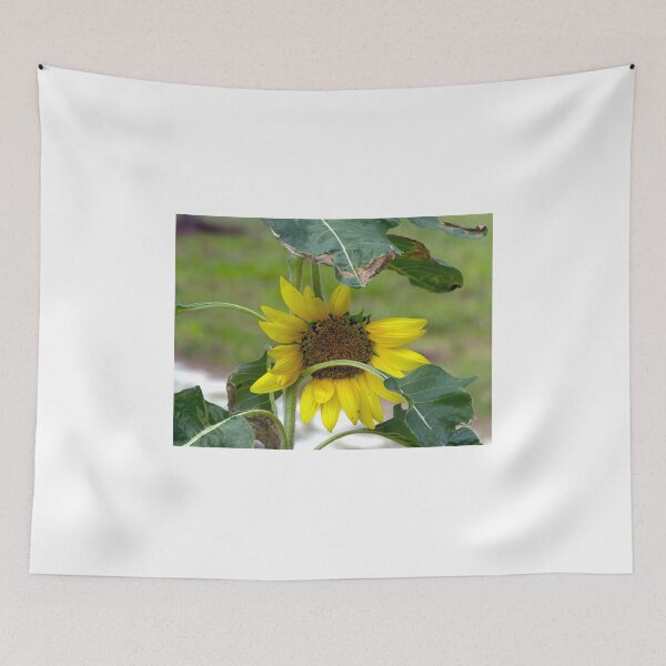 Item preview, Mini Sunflower designed and sold by Frankie Cat Photography.