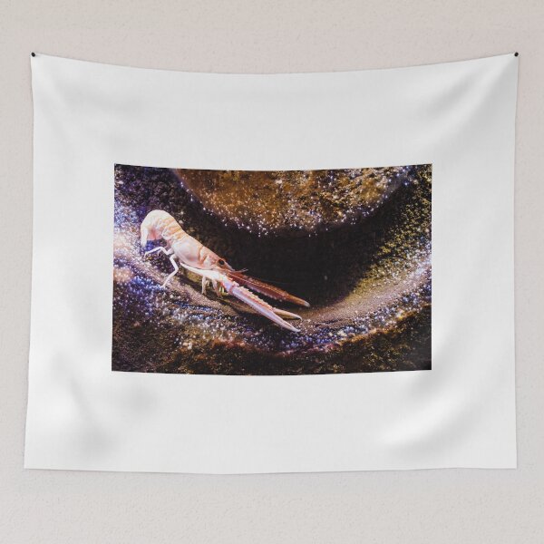 Item preview, Crustaceans designed and sold by novopics.