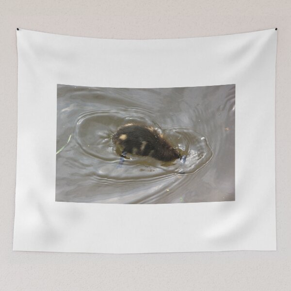 Item preview, Diving duckling designed and sold by turniptowers.