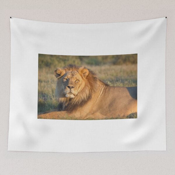 Item preview, The King of Still Sleepy designed and sold by Owed To Nature.