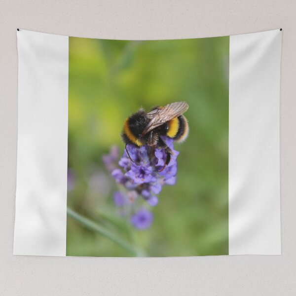 Item preview, Lavender Visitor designed and sold by AnnDixon.
