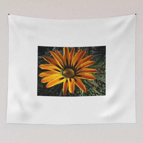 Item preview, Gazania 11 designed and sold by Heatherian.