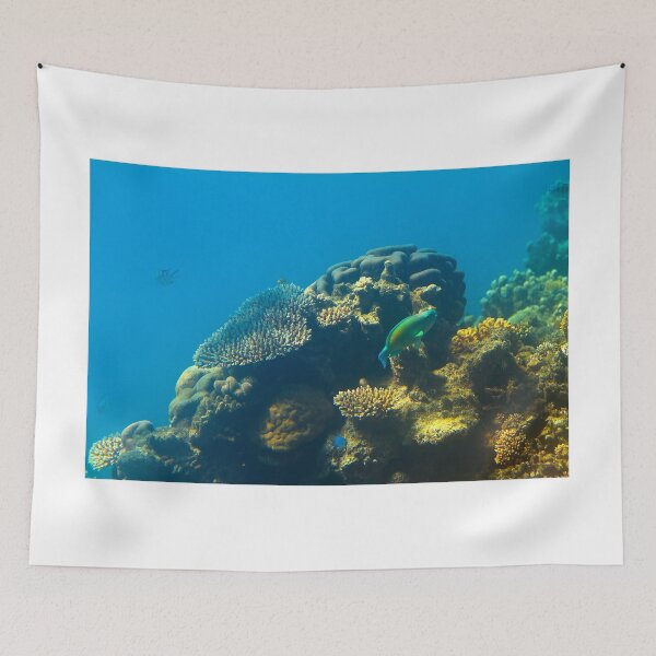 Item preview, This is why they call it the GREAT Barrier Reef designed and sold by MrBennettKent.