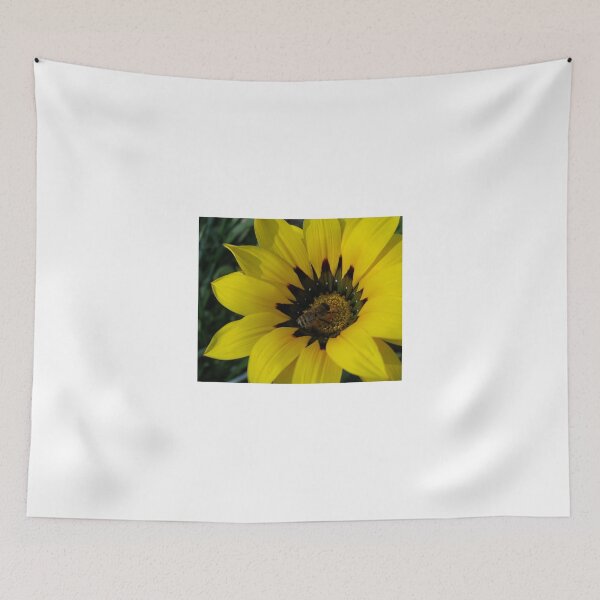 Item preview, Gazania 12 - Gazania with Bee photograph designed and sold by Heatherian.